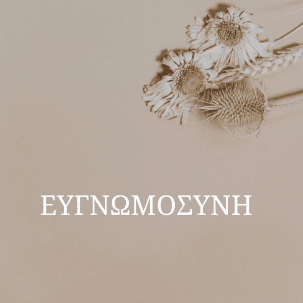 Ημερολόγιο Ευγνωμοσύνης